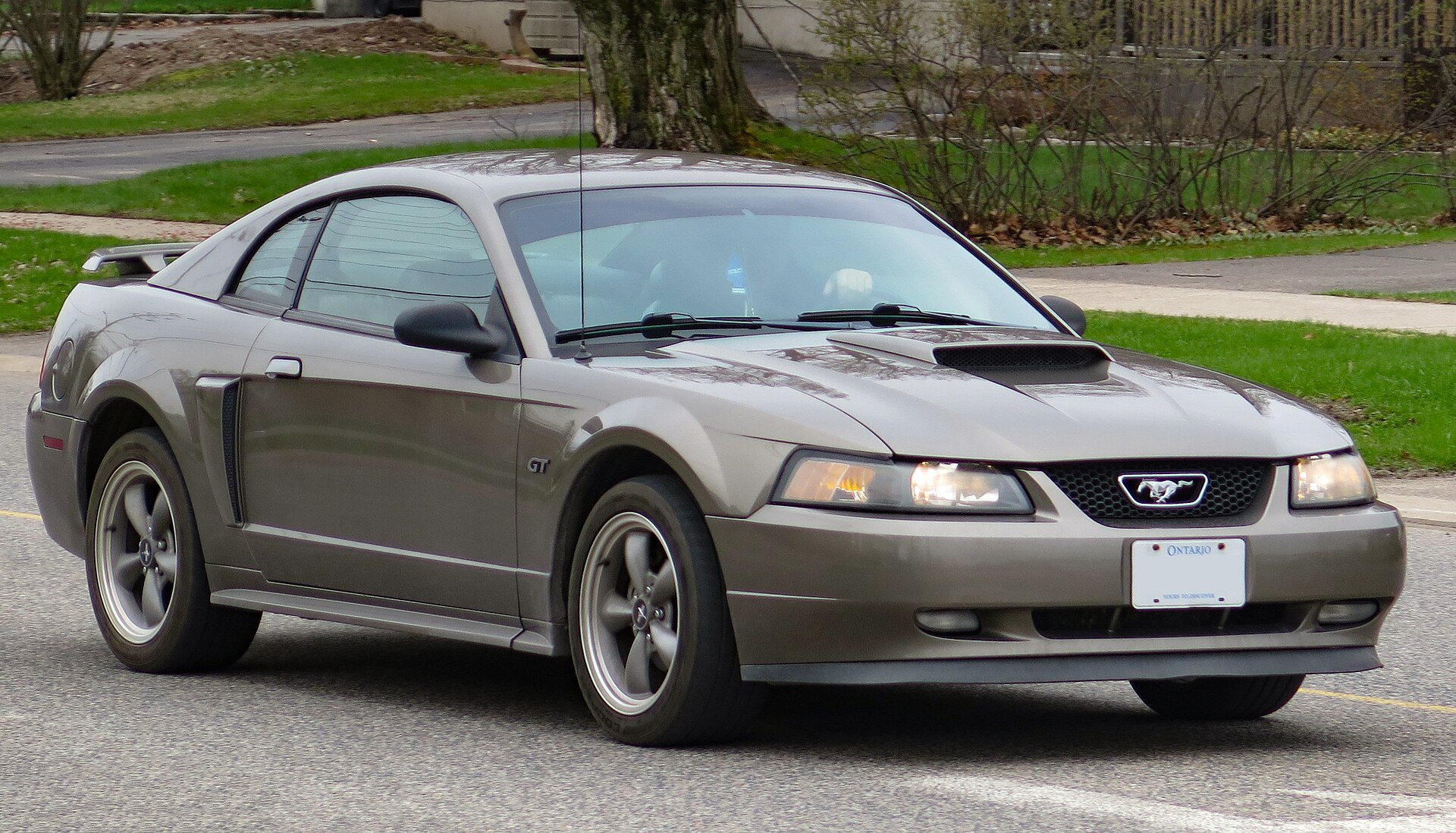 Ford Mustang SN-95 SVT Cobra in klassischer Aufnahme
